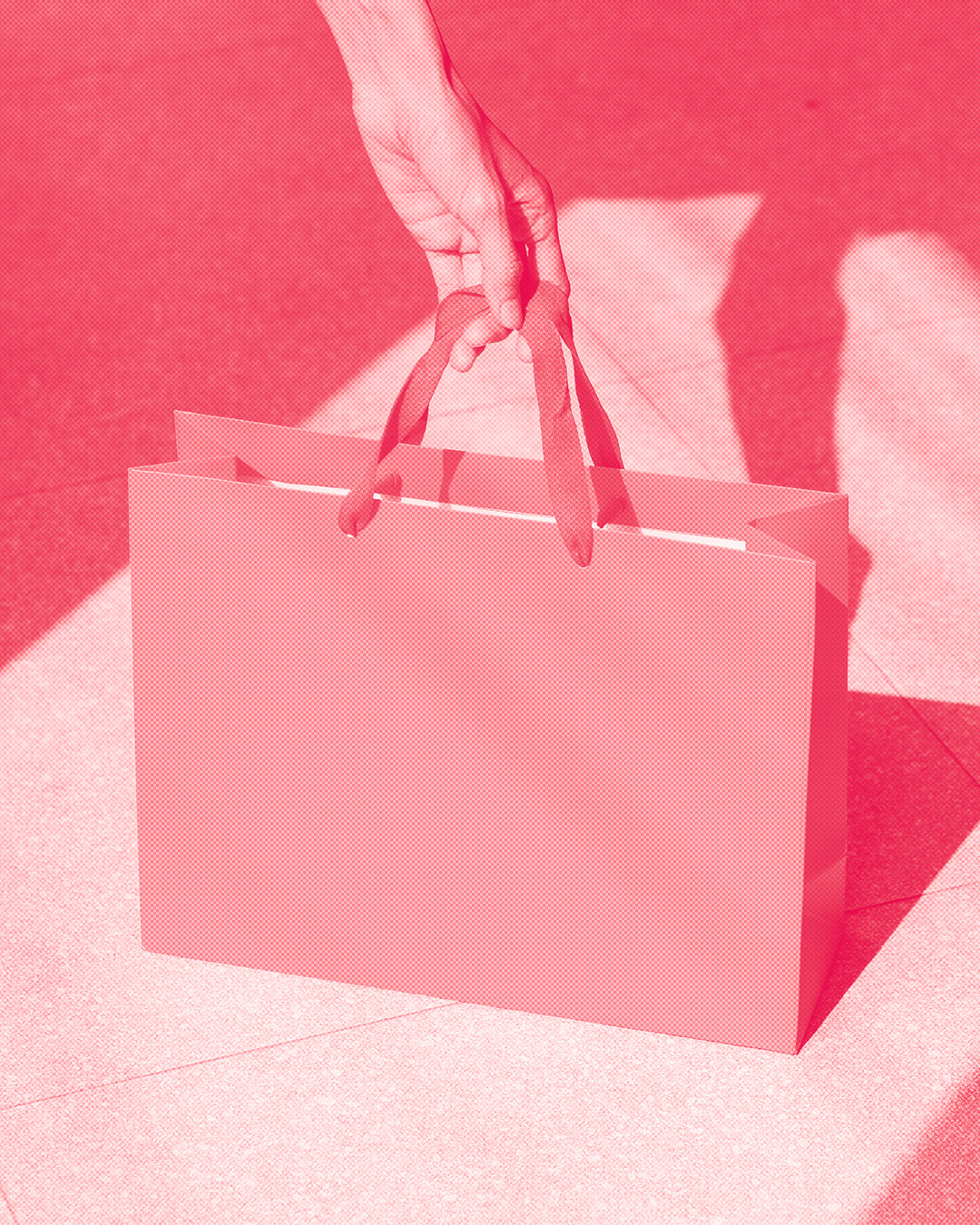 Catalogue Bottom Section